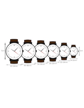 Reloj Ball BMW GMT para hombre GM3010C-PCFJ-BK